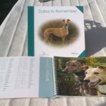 greyhound-dates-to-remember
