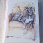 greyhound-notelet-cards