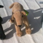 greyhound-soft-toy-small
