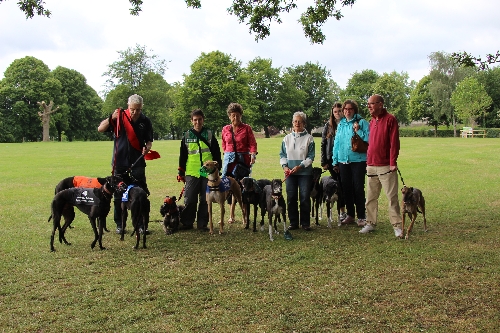 The group who completed the shorter walk. 