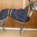 greyhound-rain-coat-piped-lining