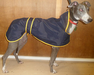 greyhound-rain-coat-piped-lining