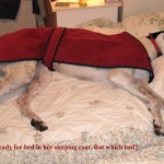 Photo of lady on John and Joan's bed