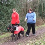 Photo of greyhounds walking