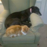 Best friends