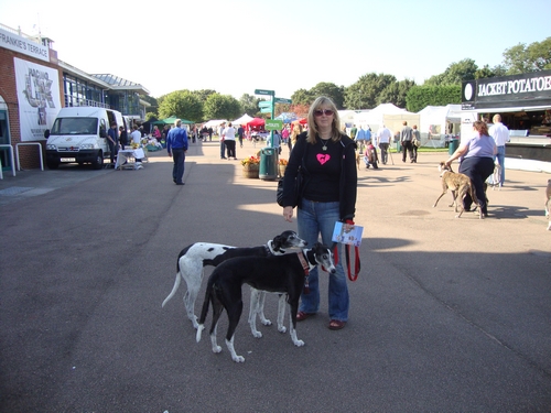 Great Greyhound Gathering in Nottingham 2012 Lifeline representatives at GGG 2012