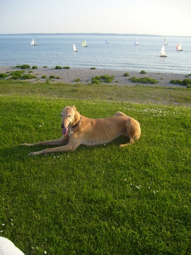 Lorien Rainbow Bridge