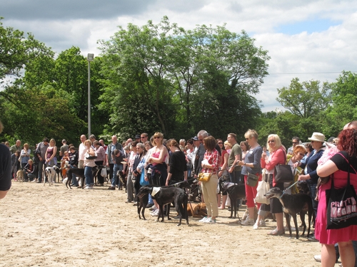 Open Day crowd