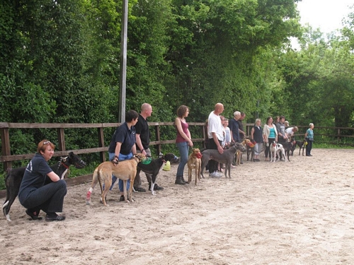 Homeless Hound Parade