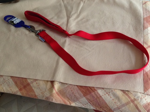 dog lead, greyhound lead, clip lead