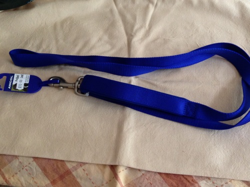 dog lead, greyhound lead, clip lead